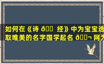 如何在《诗 🐠 经》中为宝宝选取唯美的名字国学起名 🐬 网为你解答